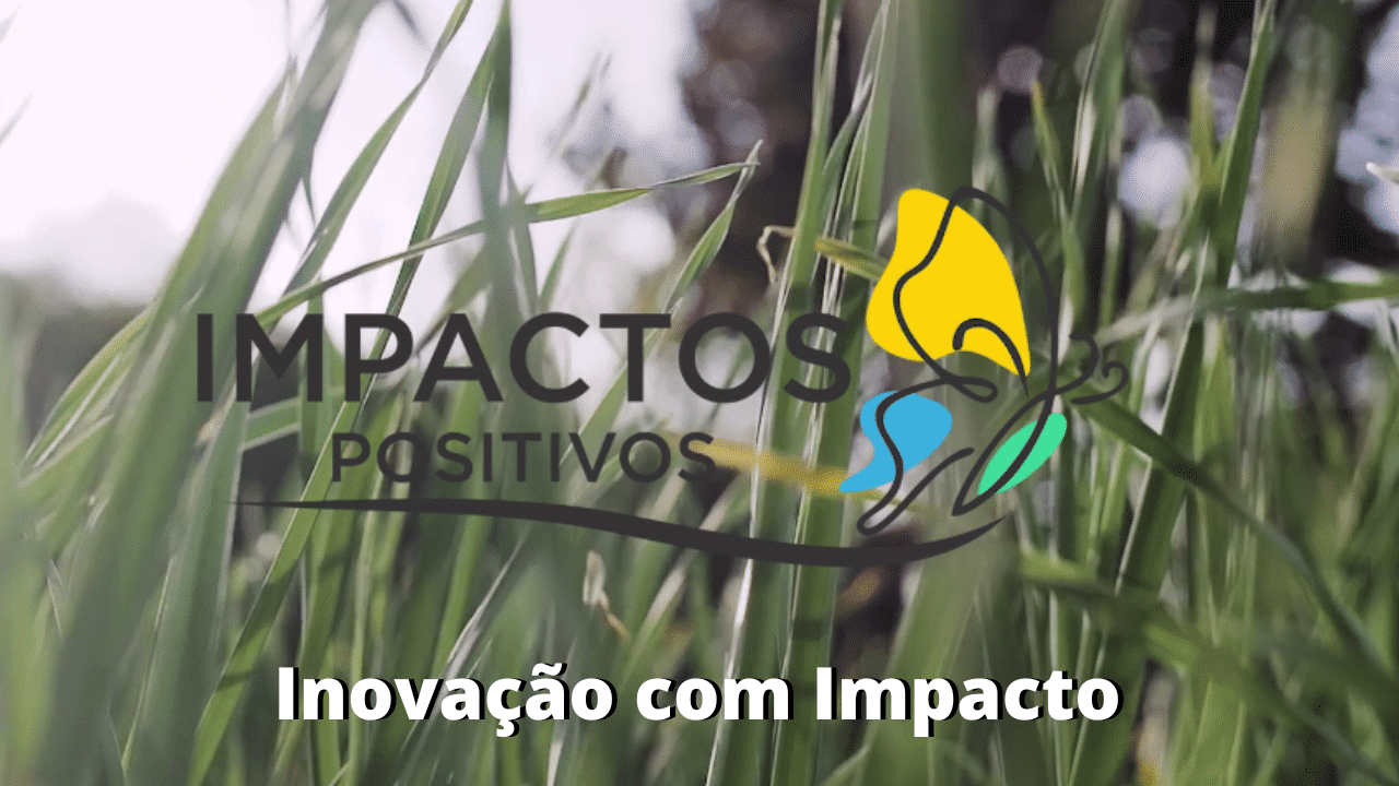 Inovação com Impacto - Alexandre Uehara com Alessandra Ferrari e Ezequiel Da Rosa
